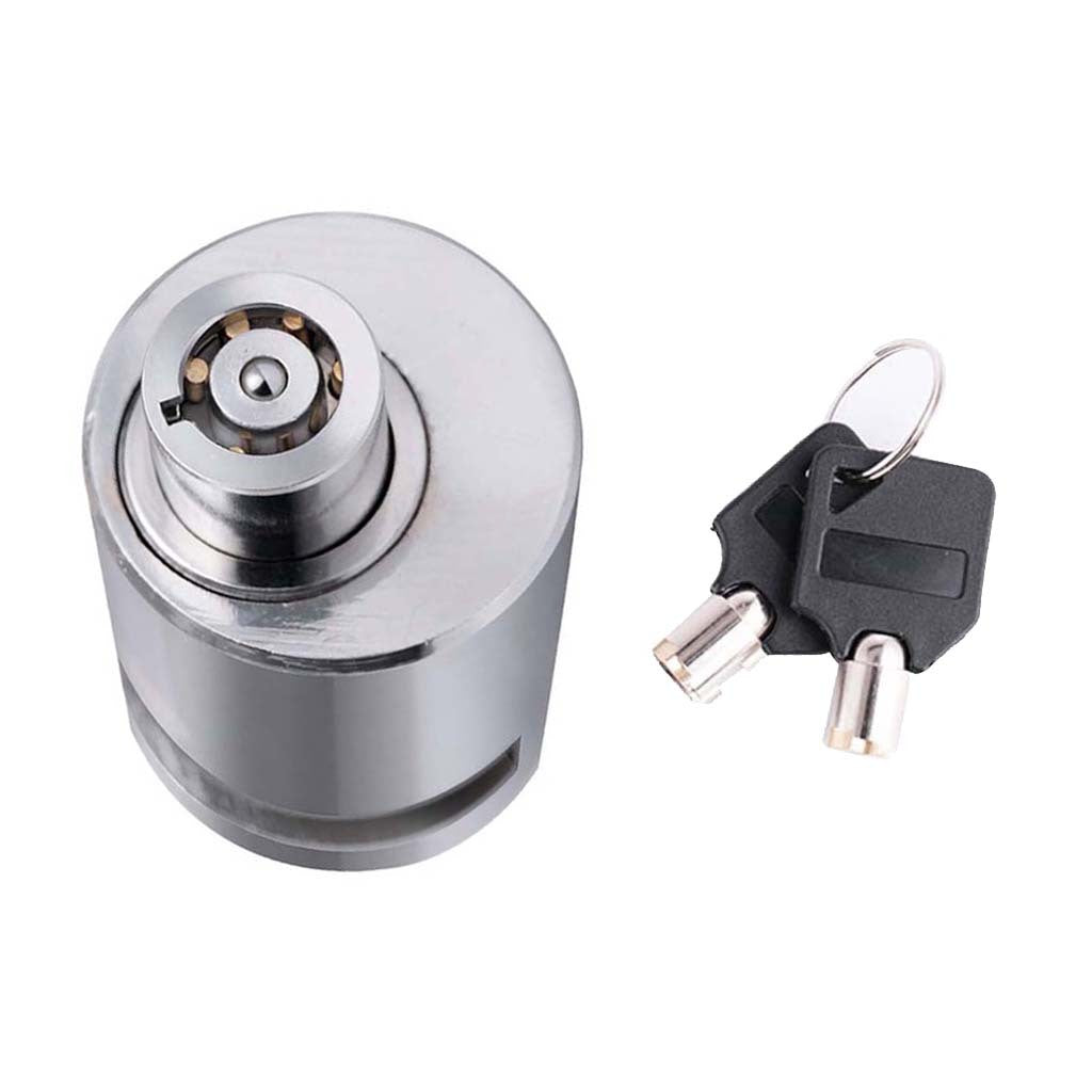 Bicycle Anti-theft Disc Brake Lock with two keys on a white background